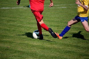 爱游戏app-国家女篮训练日程公开每日训练内容紧张高效，国家队女篮在哪里训练